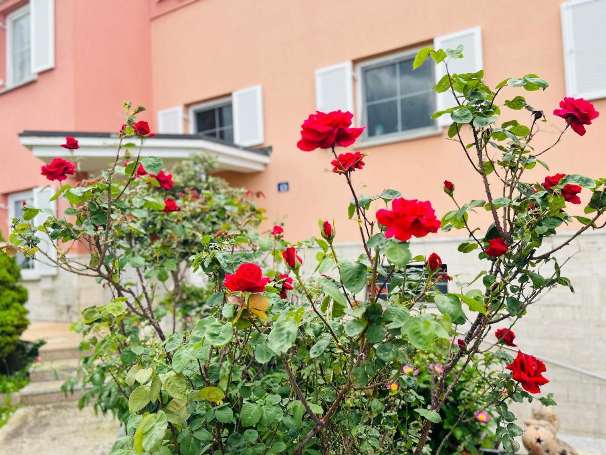 Casa Cino Apartman Umag Kültér fotó